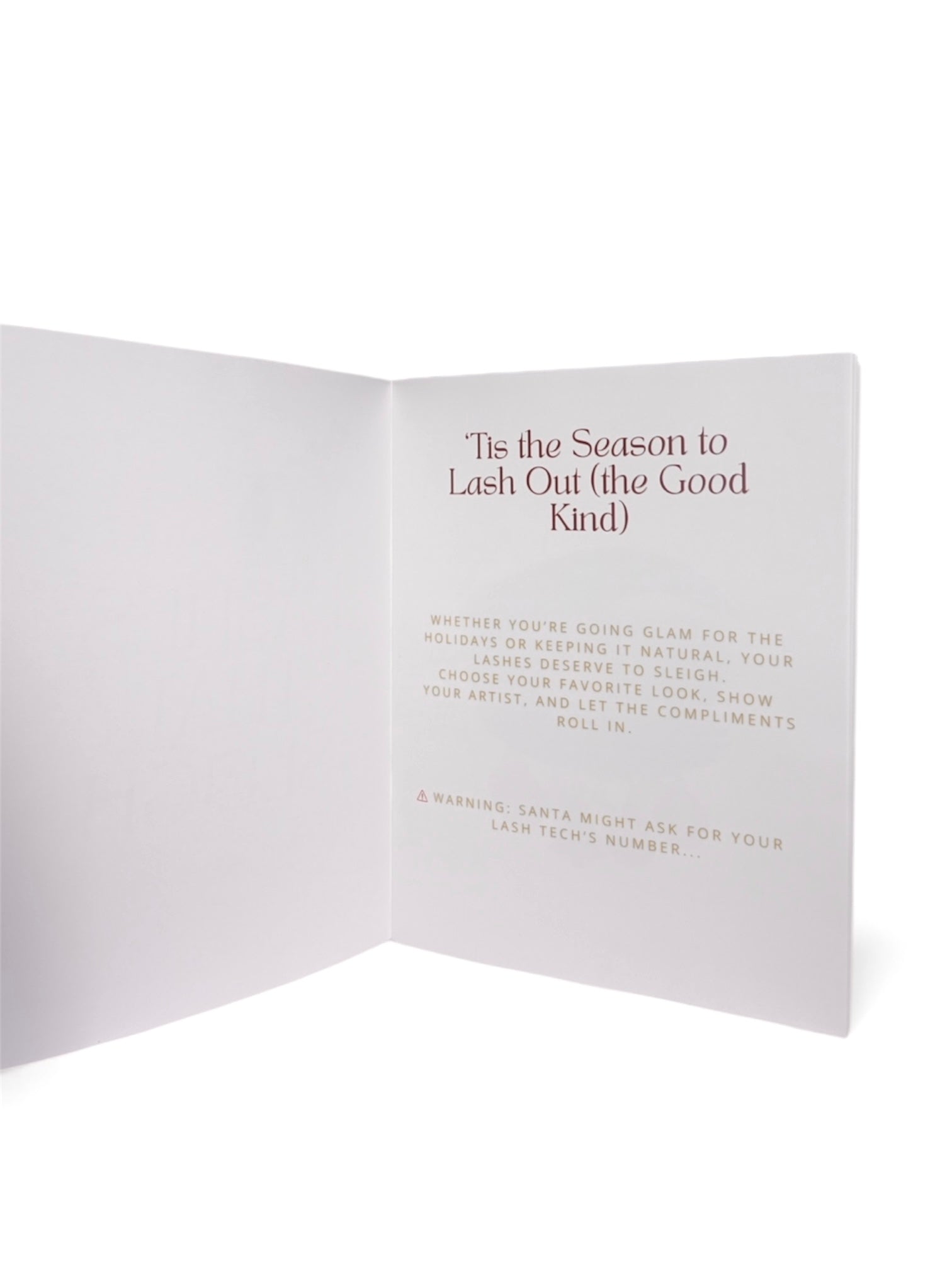 Lashes That Sleigh- Holiday Lash Style Magazine Guide For Clients